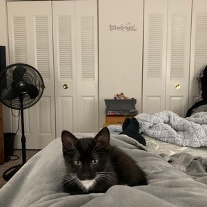 Meet your Posher, Rhonda